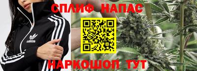 PSILOCYBIN Свободный