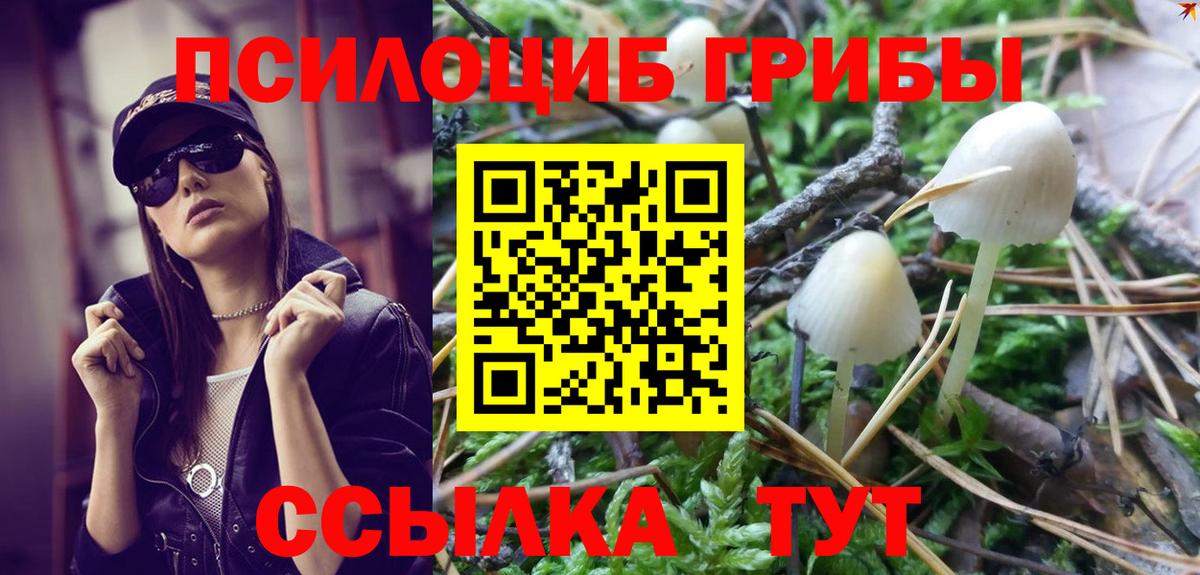 Галлюциногенные грибы прущие грибы  Вход с VPN  Ногинск 